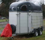 Pferde und Transportanhänger